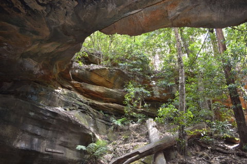 Cave Creek Walking Track - Find Attractions 0