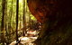 Cave Creek Walking Track - thumb 1