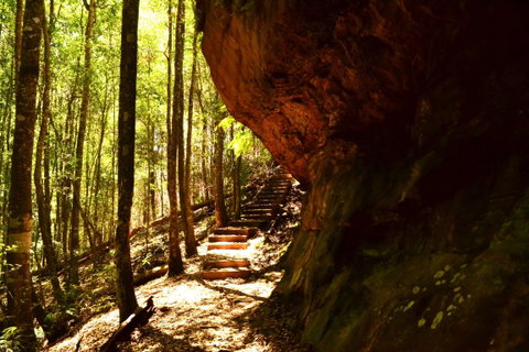 Cave Creek Walking Track - Find Attractions 1