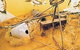 Central Australian Aviation Museum - thumb 1