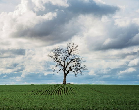 Clare Valley - Find Attractions 0