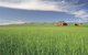 Clare Valley - thumb 1