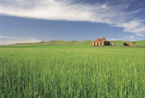 Clare Valley - Find Attractions 1