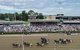 Club Menangle - thumb 1