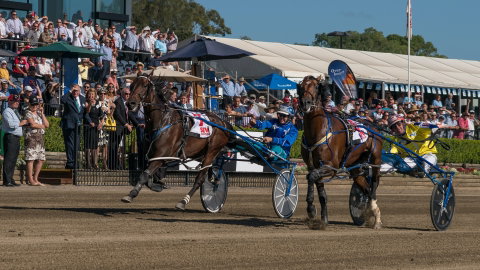 Club Menangle - Find Attractions 2