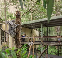 Daisy Hill Koala Centre - Find Attractions