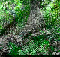 Djiru National Park - Find Attractions