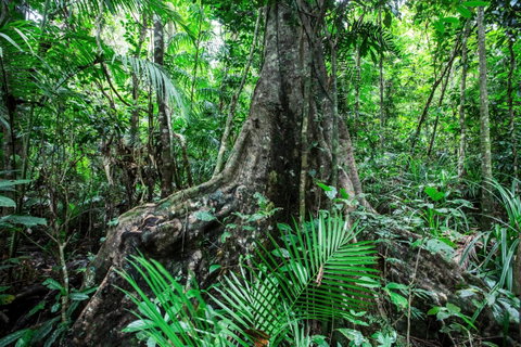 Djiru National Park - Find Attractions 0