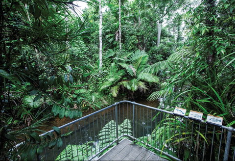Djiru National Park - Find Attractions 1