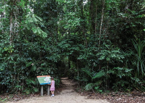 Djiru National Park - Find Attractions 2