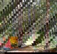 Dwellingup - Find Attractions