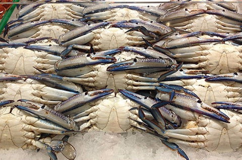 Fish And Fowl - Find Attractions 1