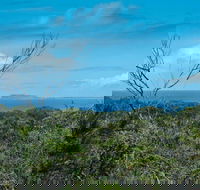 Forest Walking Track Crowdy Bay National Park - Find Attractions