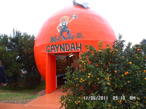 Gayndah's Big Orange - Find Attractions 2