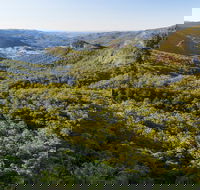 Gold Coast Hinterland Great Walk - Find Attractions