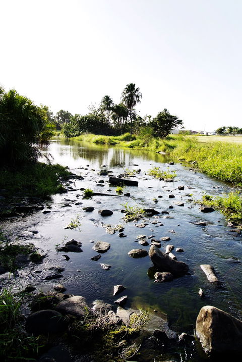 Gooseponds, North Mackay - Find Attractions 2