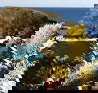 Green Island Walking Track - Find Attractions