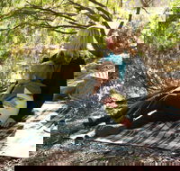 Haig Street Quarry Bushland Reserve Trails - Find Attractions