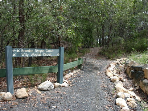 Haig Street Quarry Bushland Reserve Trails - Find Attractions 1