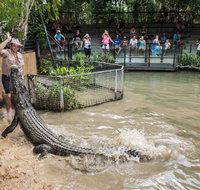 Hartley's Crocodile Adventures - Find Attractions