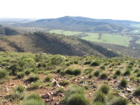 Horseshoe Rim 4WD Adventure Track