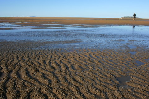 Illawong Beach - Find Attractions 0