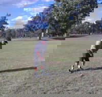 Inverell Golf Club - Find Attractions