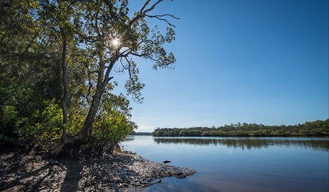 Karuah River National Park And Nature Reserve - Find Attractions 0
