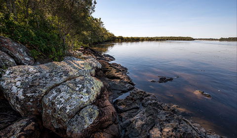 Karuah River National Park And Nature Reserve - Find Attractions 2
