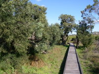 Kepwari Trails Wetland Wonderland