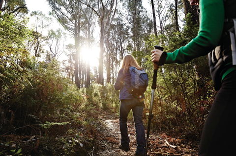 Kinglake National Park - Find Attractions 0