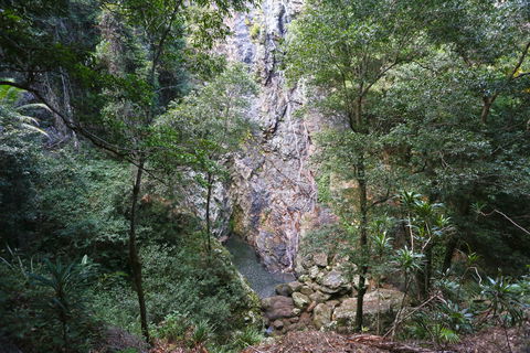 Kondalilla Falls Circuit, Kondalilla National Park - Find Attractions 0