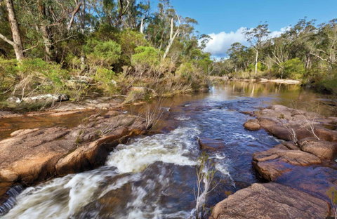 Little Dandahra Creek Walking Track - Find Attractions 0