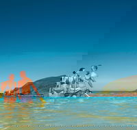 Llewellyn Dive Site - Find Attractions