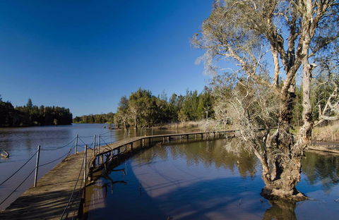 Longneck Lagoon Walking Track - Find Attractions 0