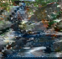 Mackay Regional Botanic Gardens - Find Attractions