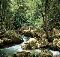 Maleny - Find Attractions