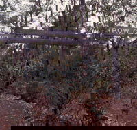 Marrinup Trail Dwellingup - Find Attractions