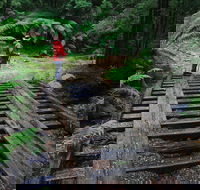 Montezuma Falls - Find Attractions