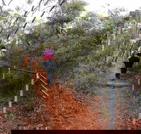 Mount Matilda Walk Trail Wongan Hills - Find Attractions