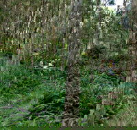 Nature Walking Track - Find Attractions