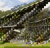 Noojee Trestle Bridge - Find Attractions