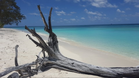North West Island - Find Attractions 0