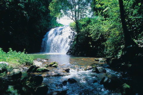 Pepina Falls - Find Attractions 0