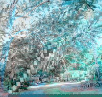 Phillips Gallery - Find Attractions