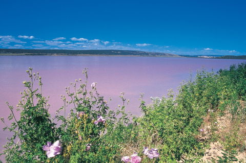 Port Gregory - Find Attractions 0
