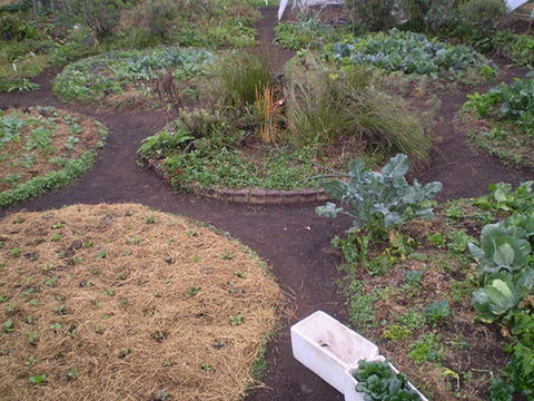 Purple Pear Farm - Find Attractions 1