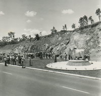 Rockhampton Bull Statues - Find Attractions
