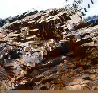 Rock Climbing in Morialta - Find Attractions
