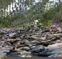 Rocksberg Park Heritage Reserve - Find Attractions